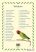 Papagájok kifestőkönyve