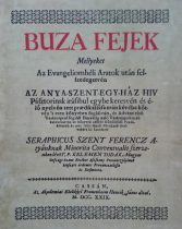 Búza fejek