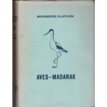 Madarak